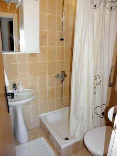 Apartment Albina