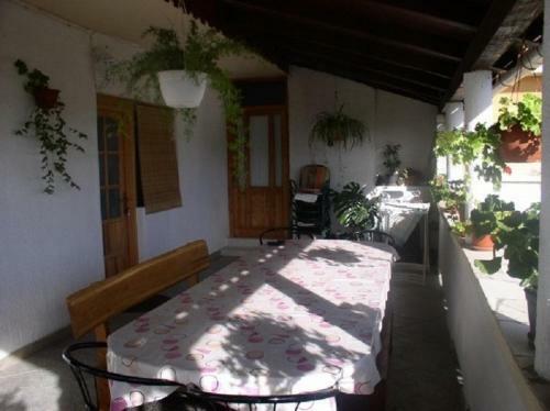 Apartments Kuzma - Afordable