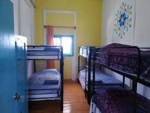 Park Hostel