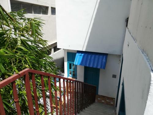 Park Hostel