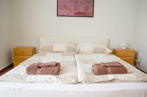 Apartment Gagarin