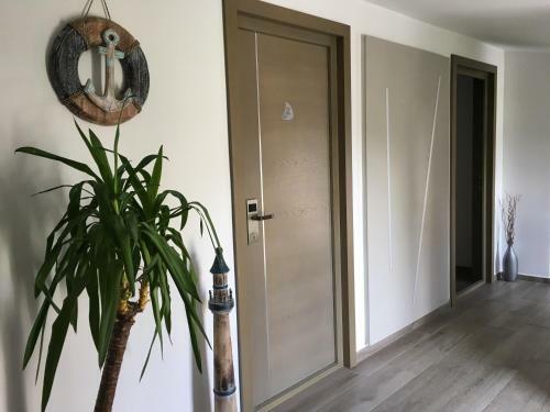 Hostal Calypso Lakeside Rooms & Lux Apartments