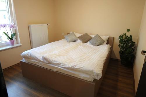 Bed & Breakfast Tiszaliget Apartman �s Sz�ll�