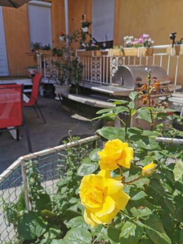 Apartamento Baross-hat