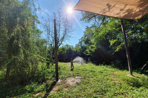 Szentendrei Sziget, Modern Fah�z, T�len Is