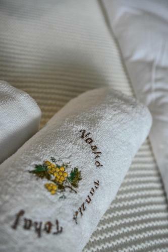 Bed & Breakfast �-vask� Panzi� Borpince