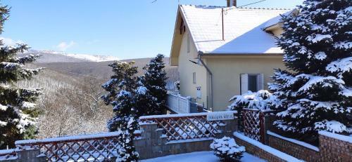 Villa Panor�ma Szarvask?