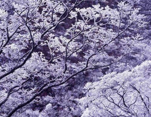 Unzen Sky Hotel