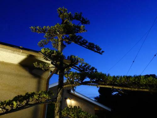 Apartamentos Oimatsuen
