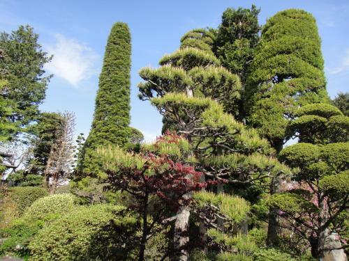 Apartamentos Oimatsuen