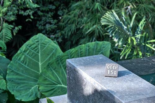 Hostal Gek House Ubud Bali