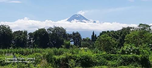 Family Villa Merapi View, Villa Poolside, All Inclusive & Car Driver