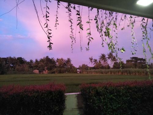 Private Pool Villa Sawah Sewon