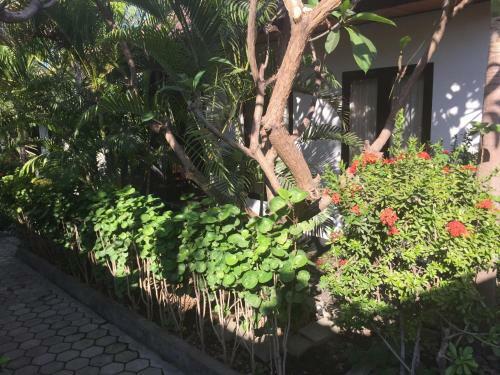 Bed & Breakfast Scuba Tribe Bali