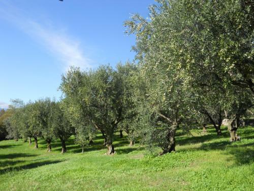 B&B Ca' Morino