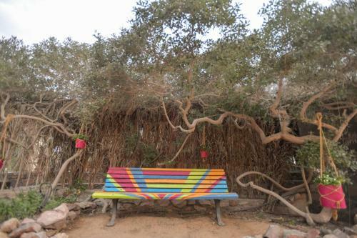 Midbarya Camping Eilat