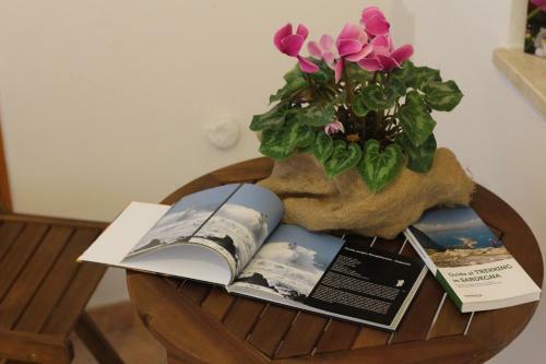 Bed & Breakfast Fiori E Limoni