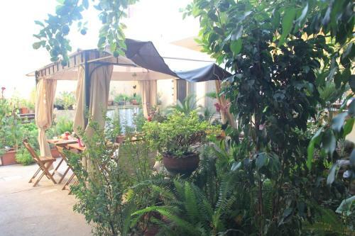 Bed & Breakfast Fiori E Limoni