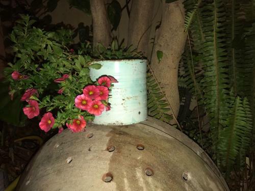 Bed & Breakfast Anninn�a