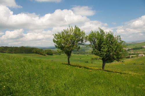Agroturismo Artemide