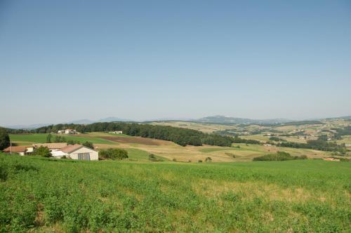Agroturismo Artemide