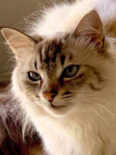 Bed And Breakfast Da Lucia