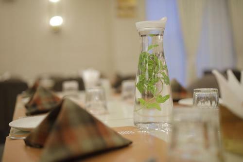 Hotel Elysian Residency