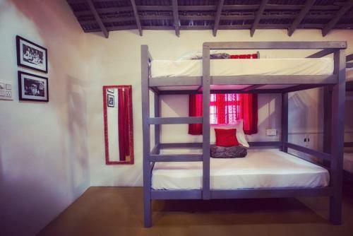 Craft Hostels