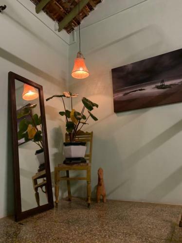Craft Hostels
