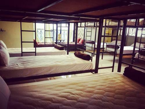 Albergue The Wild Flower Studios