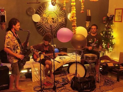Albergue The Wild Flower Studios