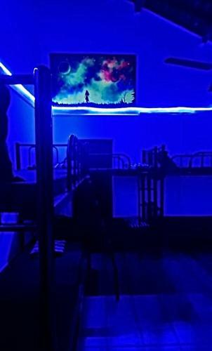 Radical Times Hostel