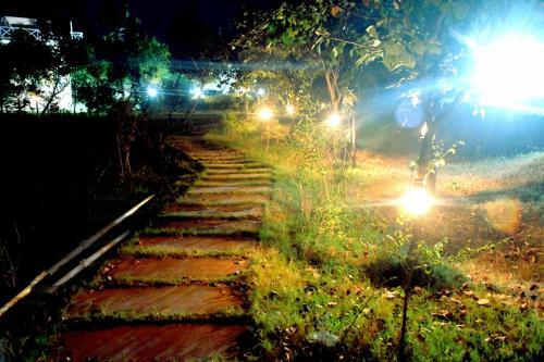 Hotel Chambal Wildlife S Lodge