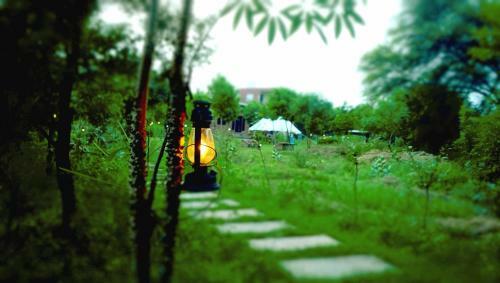 Hotel Chambal Wildlife S Lodge