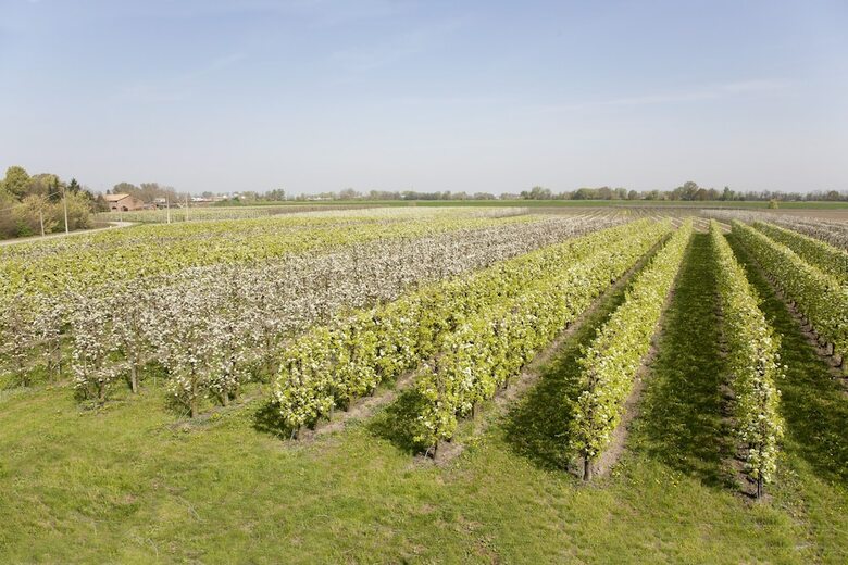 Agroturismo Agriturismo Dosso Al Porto