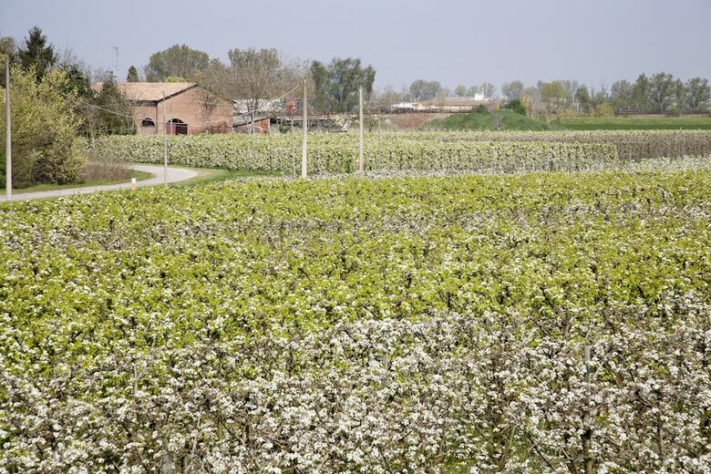 Agroturismo Agriturismo Dosso Al Porto