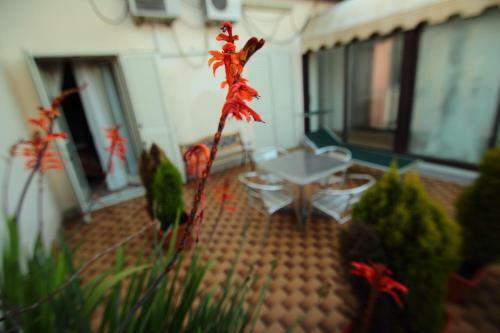 Hotel Paradiso Della Zagara