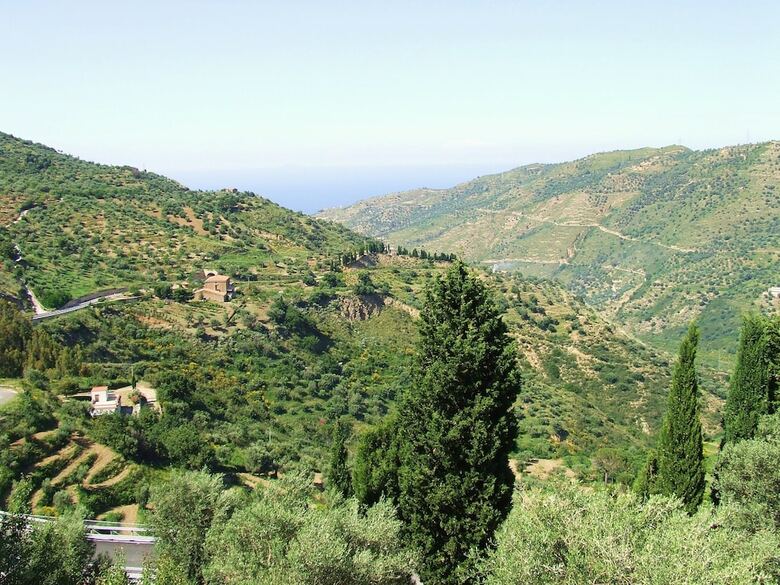 Agroturismo L'uliveto