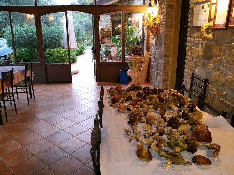 Agroturismo L'uliveto