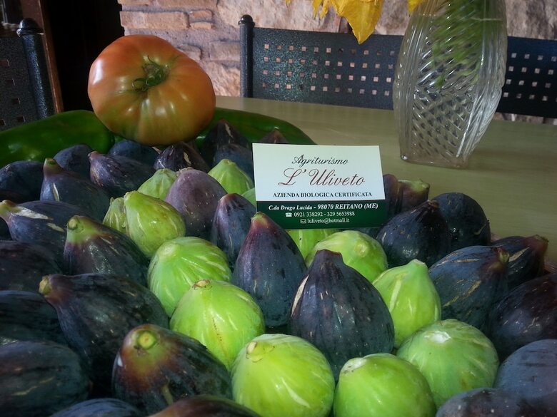 Agroturismo L'uliveto