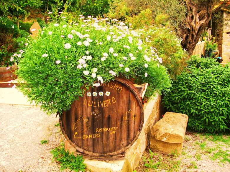 Agroturismo L'uliveto