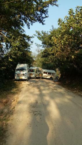 India Adventure Wild Nest