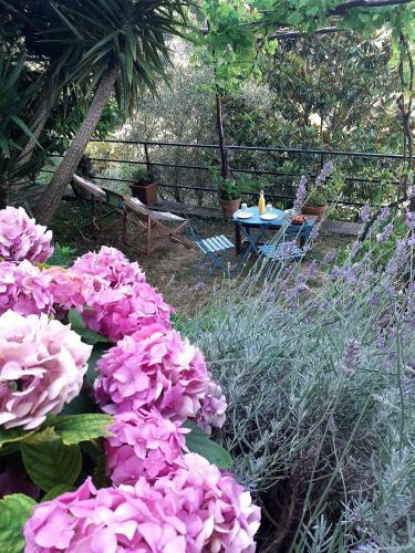 B&B I Glicini