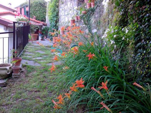 B&B I Glicini