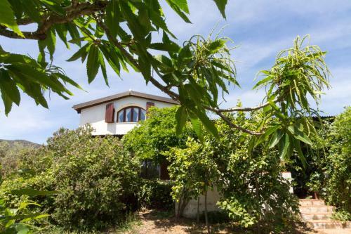 Apartamento Abba Arrubia