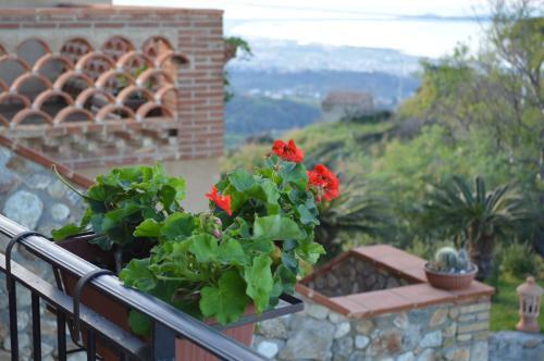 Bed & Breakfast Villa Quiete