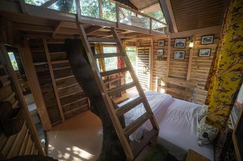 Hotel Tiger Fall Eco Resort
