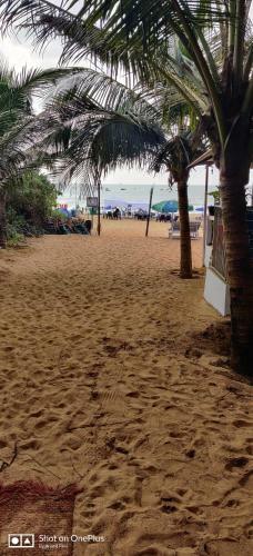 Hostal Hotel Beach Paradise