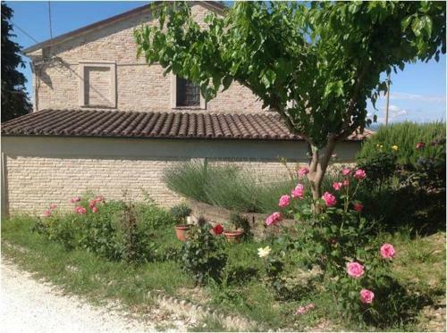 Agroturismo All'ombra Degli Ulivi B&B