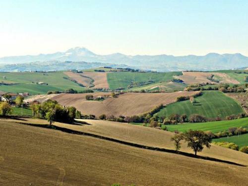 Agroturismo All'ombra Degli Ulivi B&B